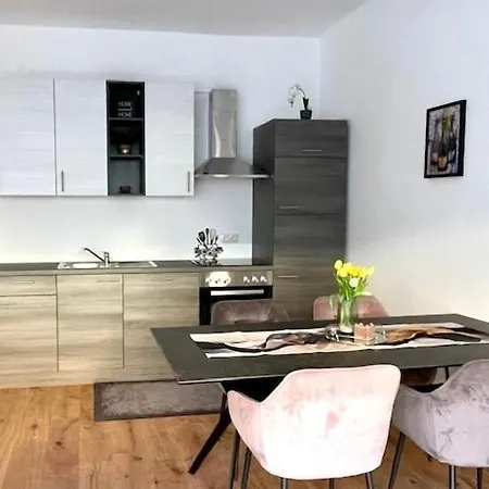 Zentrales City-apartment Mit Stil Naehe Stadthalle 格拉茨